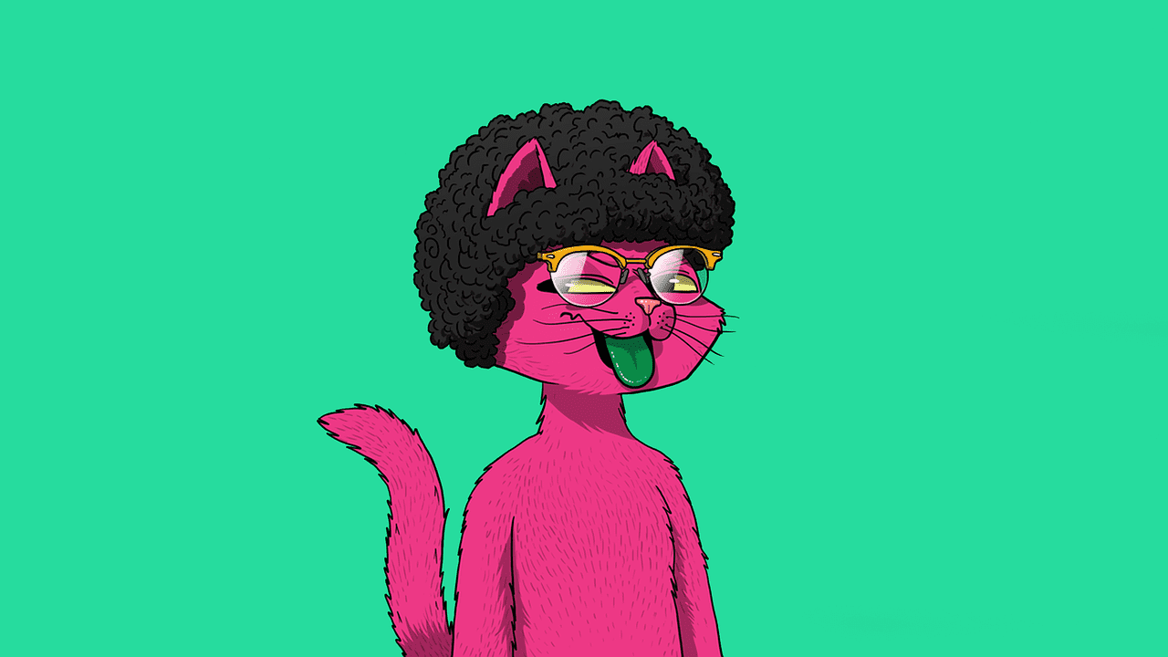 Cat Pink